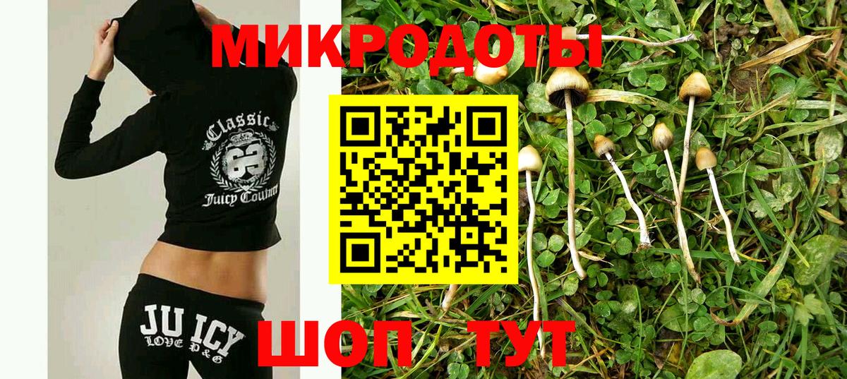 Россошь  Псилоцибиновые грибы Cubensis  Вход с VPN  Псилоцибиновые грибы мухоморы 